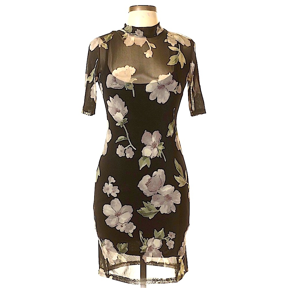 Potter’s Pot 90s Sheer Dress